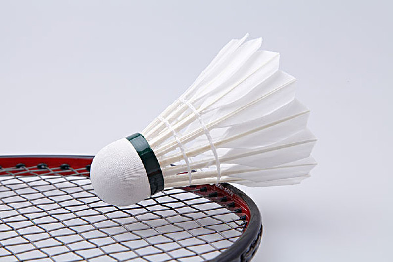 但巴黎圣日 但巴黎圣日